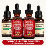 Combo 2